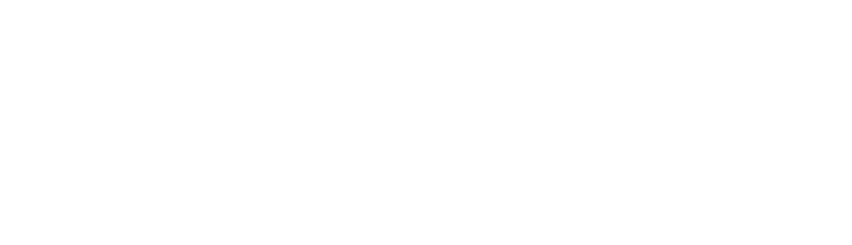 Wysight